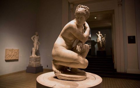 莱利的维纳斯(Lely's Venus) the marble statue of Aphrodite