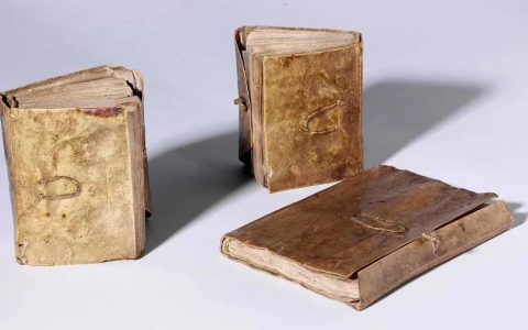 达芬奇的笔记本Leonardo da Vinci's notebooks