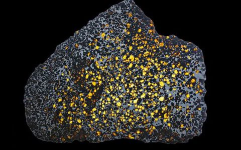 橄榄陨铁Imilac meteorite